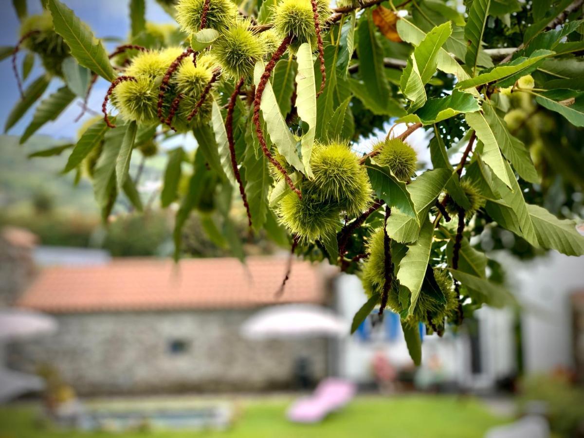 Casa Do Milhafre - Villaverde Azores Feteiras Εξωτερικό φωτογραφία